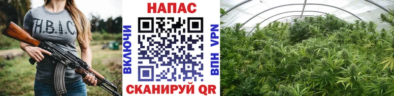 Купить закладку Ардон Гашиш Бошки Шишки СК Меф мяу мяу