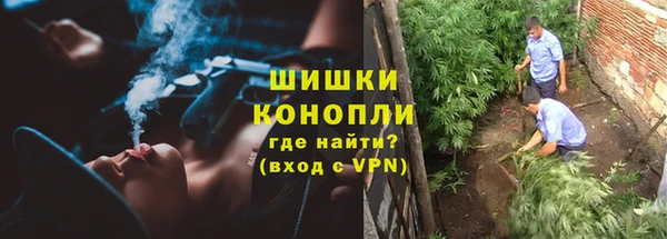 ПСИЛОЦИБИНОВЫЕ ГРИБЫ Алексеевка